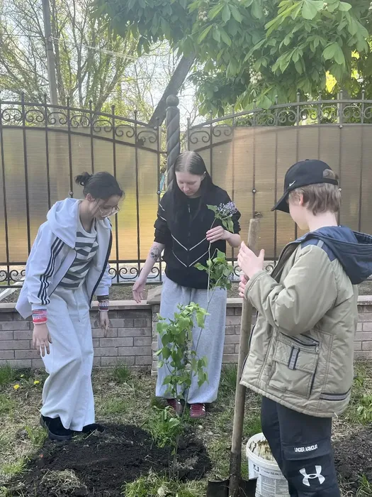 i (7)