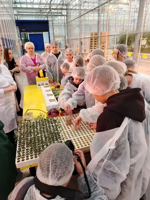 share-photo-6372392880